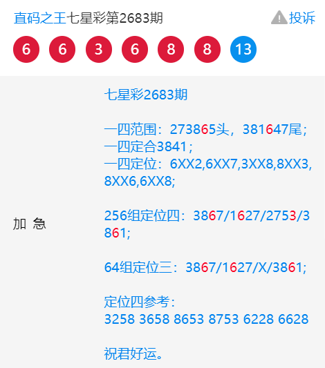 王中王一肖中特4487，揭秘背后的故事與奧秘，揭秘王中王一肖中特4487背后的故事與奧秘