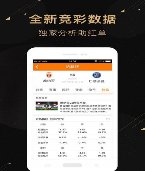 二肖二碼，深度解析與SEO優(yōu)化策略，二肖二碼深度解析與SEO優(yōu)化策略探討