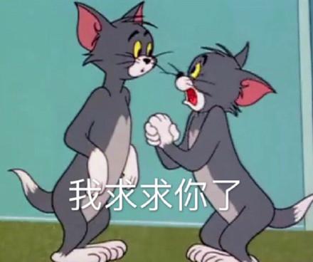 湯姆貓股票股吧，投資熱點(diǎn)與前景展望，湯姆貓股票股吧，投資熱點(diǎn)與未來前景展望