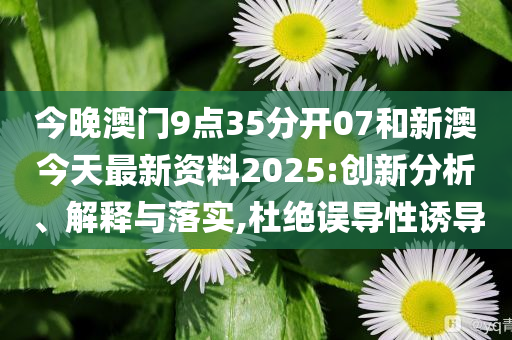 新澳今天最新資料，深度解讀與探索，新澳今日深度解讀與探索最新資料