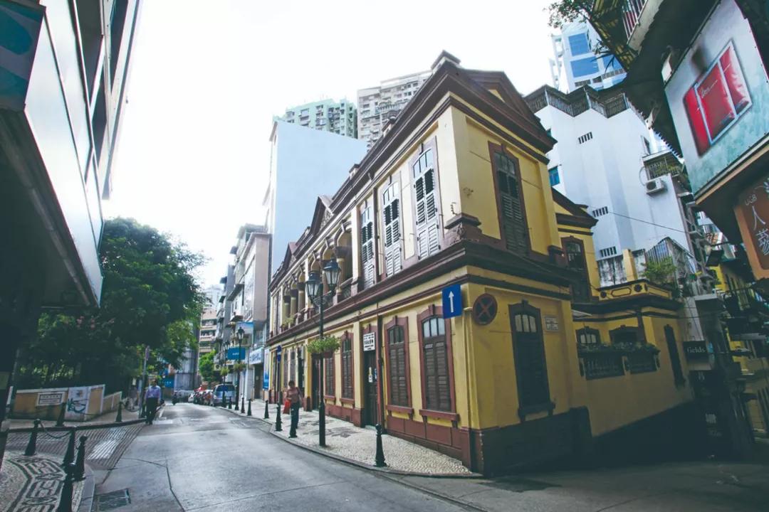 澳門三期內(nèi)必開一肖——揭秘生肖彩票的奧秘，揭秘澳門生肖彩票三期必開一肖的神秘面紗