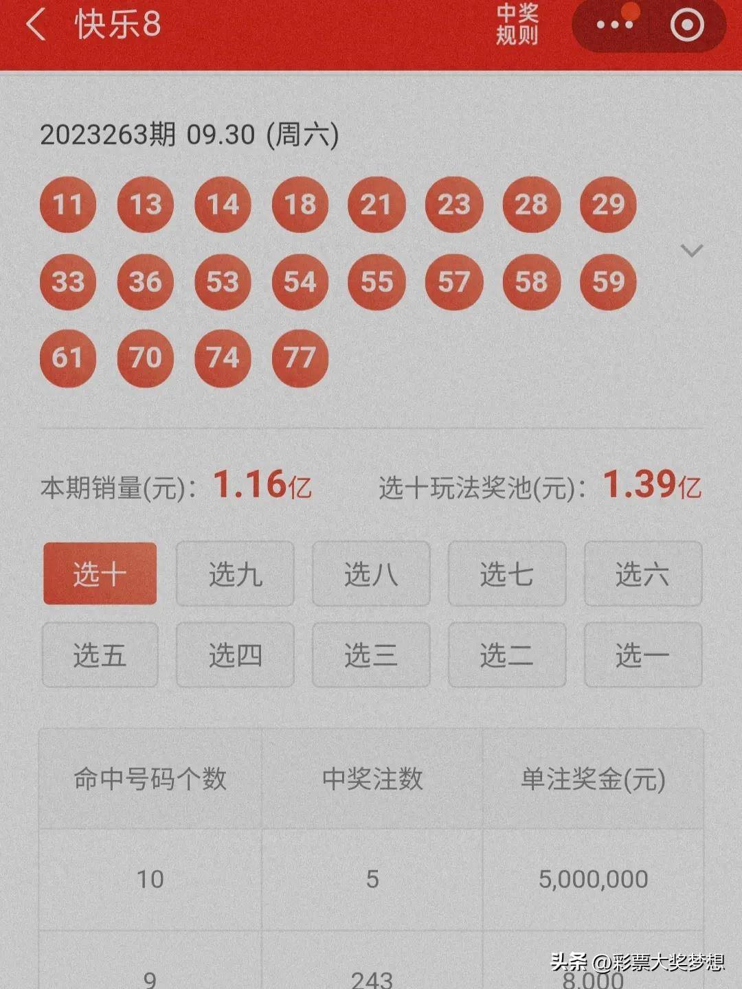揭秘王中王四肖必中一肖中特，深度解析與SEO優(yōu)化策略，揭秘王中王四肖必中一肖中特，深度解析與SEO策略全攻略