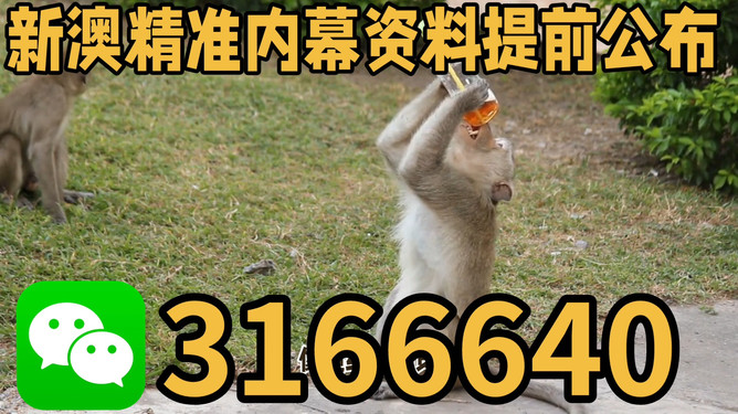 澳門特馬文化
