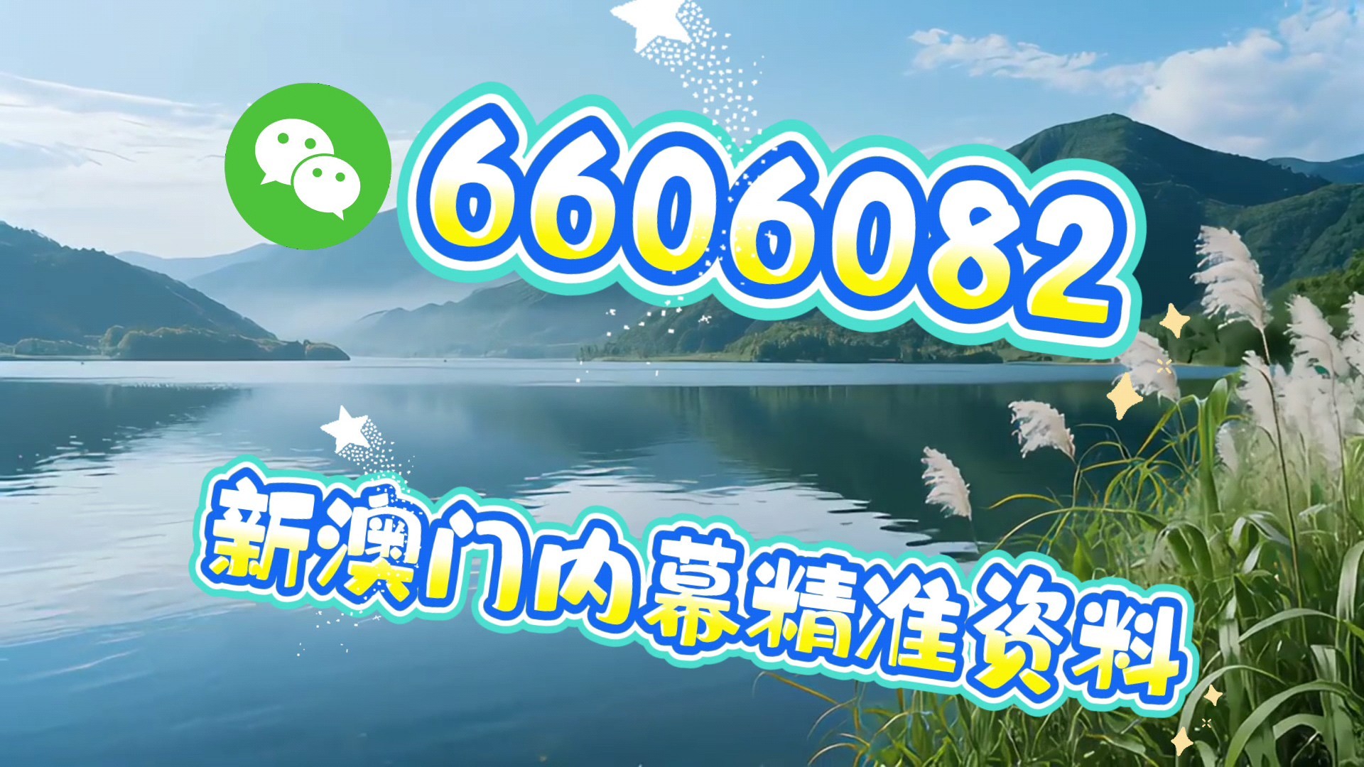 澳門必開一肖一碼免費——揭秘彩票背后的秘密，澳門彩票揭秘，必開一肖一碼免費背后的秘密