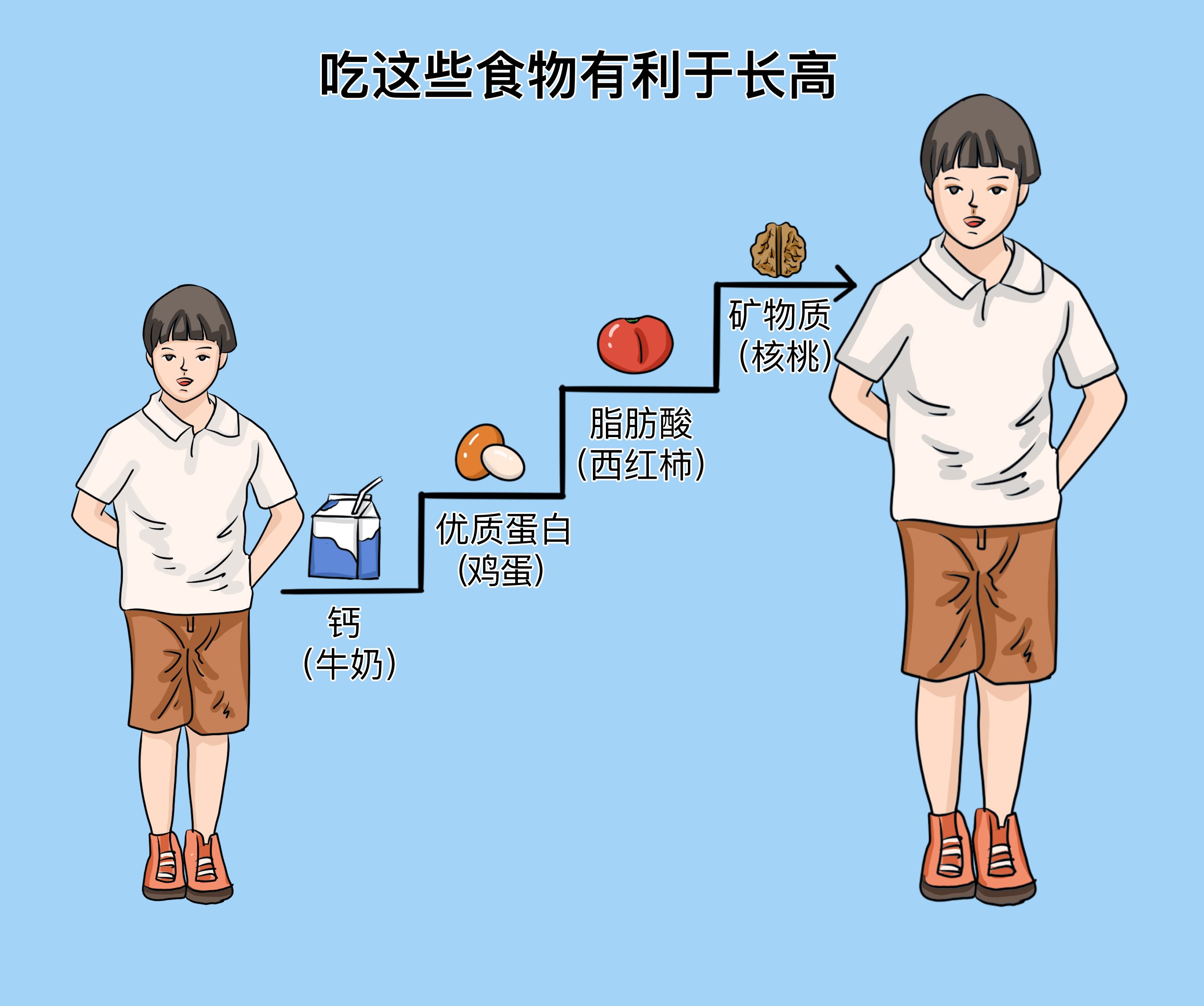 什么食物吃猛長(zhǎng)高——助力生長(zhǎng)發(fā)育的食物指南，助力生長(zhǎng)發(fā)育，猛長(zhǎng)高的食物指南