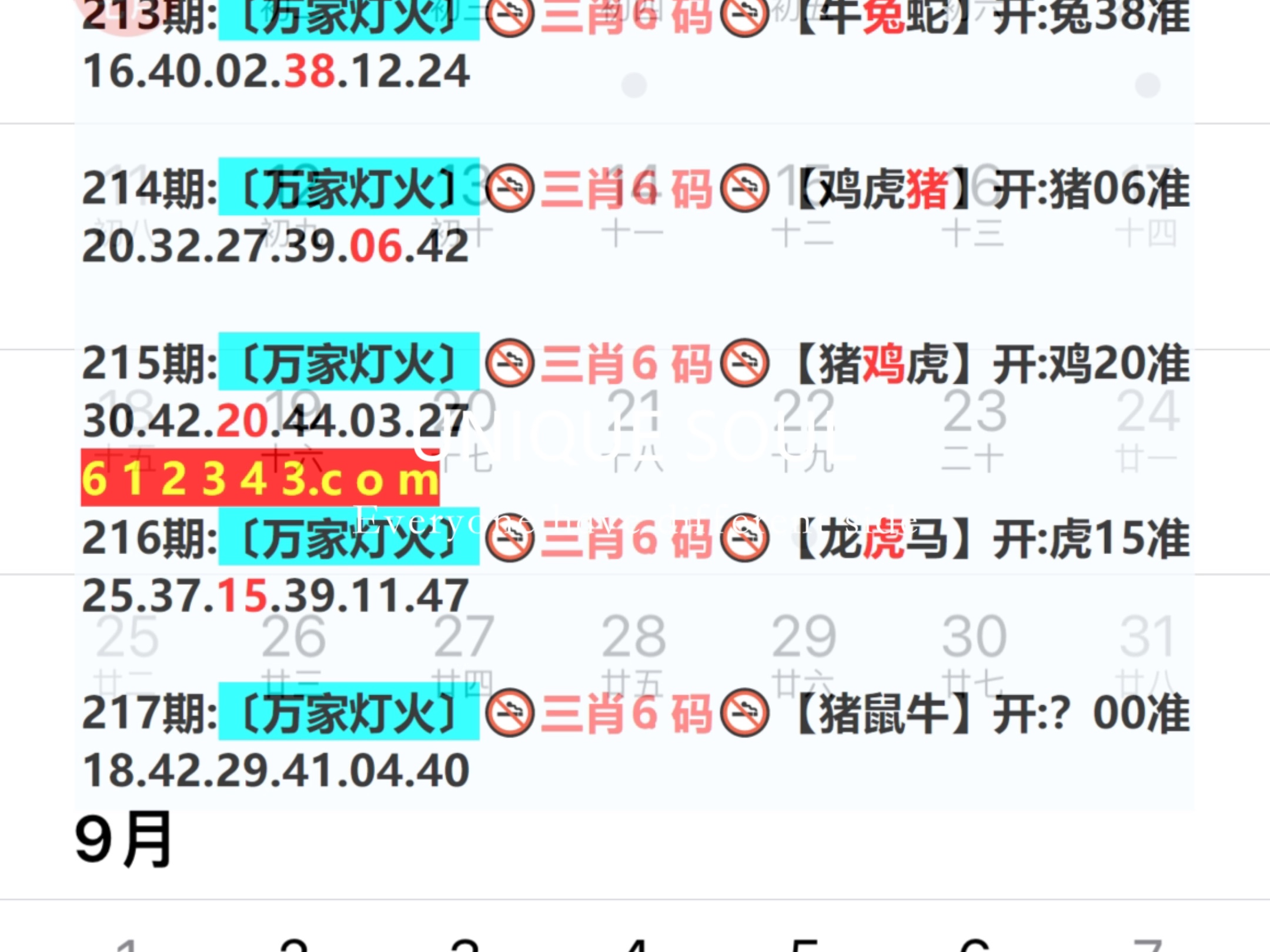 新澳門期期免費資料——探索澳門博彩文化的深度與廣度，澳門博彩文化深度與廣度探索，新澳門期期免費資料揭秘