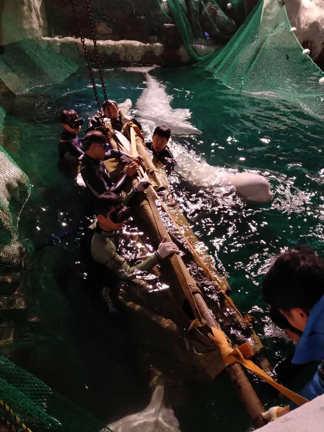 杭州極地海洋公園門票價格詳解，多少錢一張？，杭州極地海洋公園門票價格全解析，費用究竟是多少？