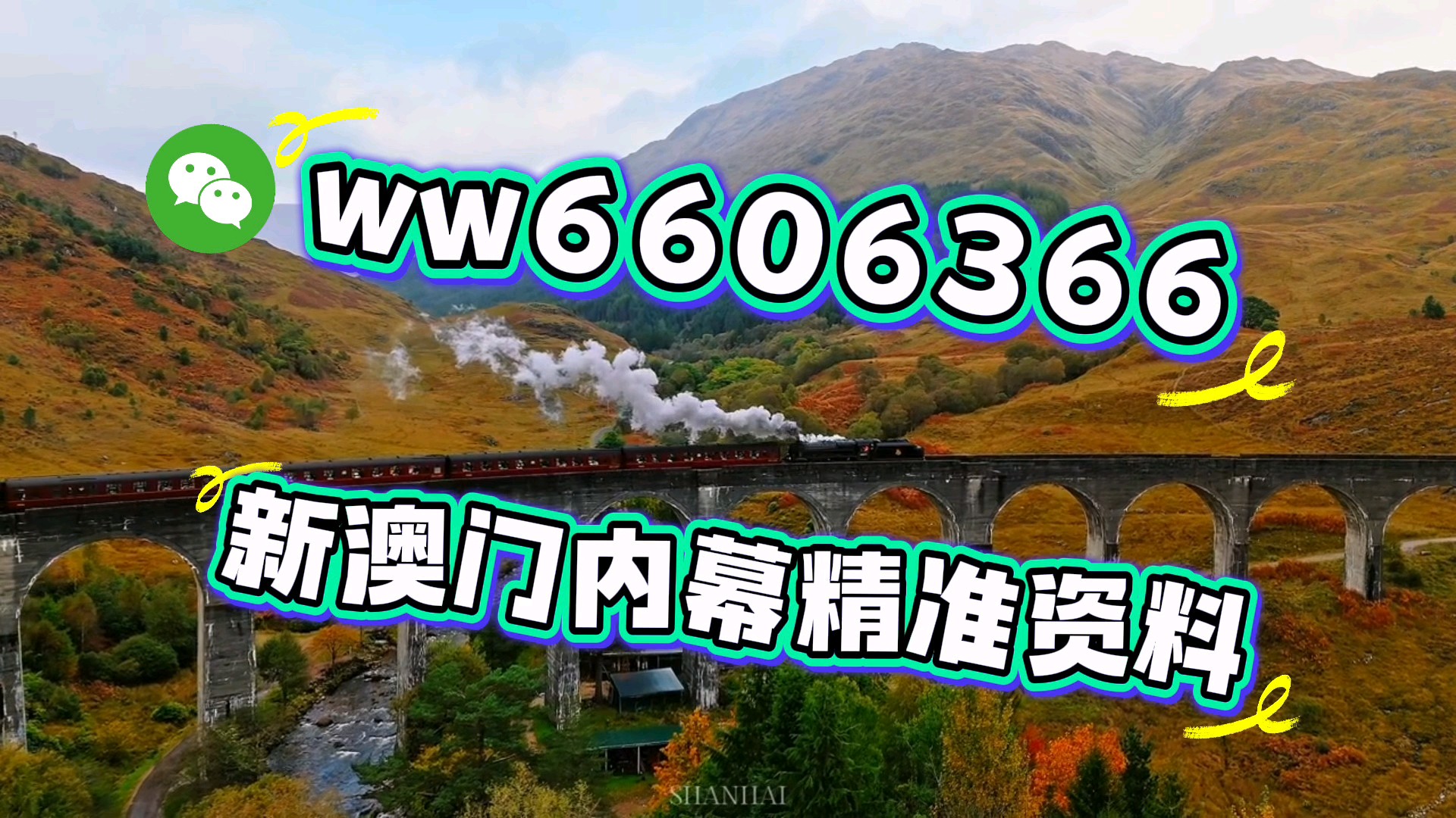澳門一肖一碼期期準必開一肖，揭秘彩票背后的秘密與策略，揭秘澳門彩票背后的秘密策略與期期必開一肖的真相