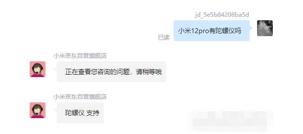 王中王一肖四碼，深度解析與SEO優(yōu)化策略，王中王一肖四碼深度解析與SEO優(yōu)化策略指南