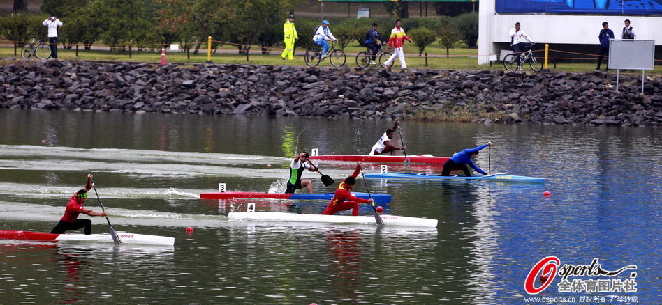 王中王選一肖一馬期期中，揭秘彩票背后的秘密策略，揭秘彩票背后的秘密策略，王中王選一肖一馬期期中之道