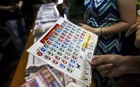 香港王中王開(kāi)獎(jiǎng)結(jié)果查詢(xún)，今晚開(kāi)獎(jiǎng)盛況一覽，香港王中王開(kāi)獎(jiǎng)結(jié)果查詢(xún)，今晚盛況揭曉，最新開(kāi)獎(jiǎng)信息一覽