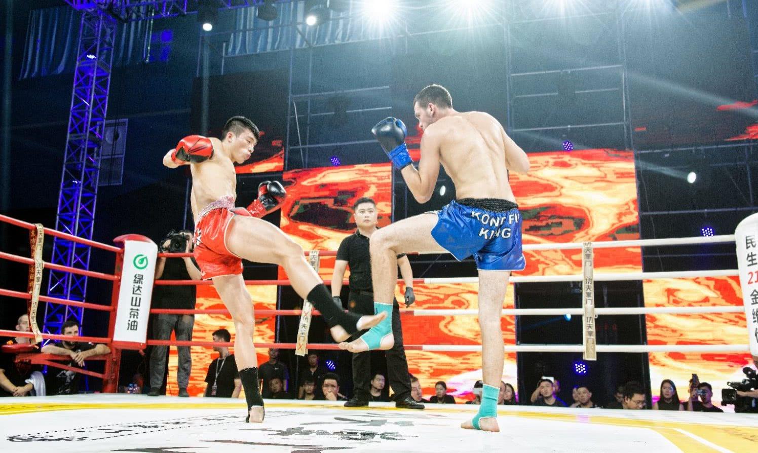 王中王欲錢一句猜一肖——探尋生肖之謎，王中王欲錢揭秘生肖之謎，探尋生肖的奧秘