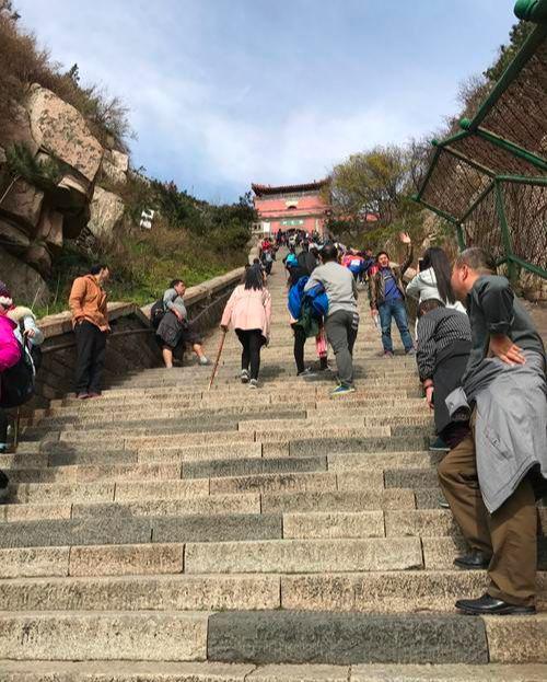 揭秘每年爬泰山死亡人數(shù)背后的故事，揭秘泰山登山死亡人數(shù)背后的故事