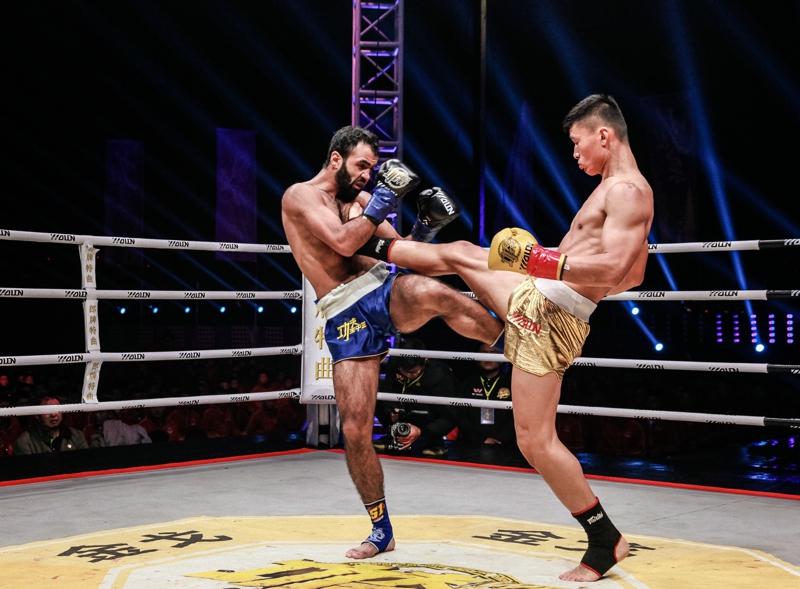 王中王網(wǎng)四肖主一碼，深度解析與SEO優(yōu)化策略，王中王網(wǎng)四肖主一碼，深度解析與SEO優(yōu)化策略全攻略