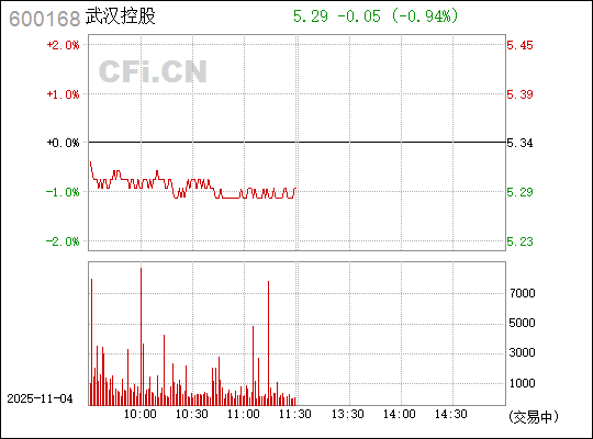 武漢控股股票（股票代碼，600168）深度解析，武漢控股股票（股票代碼600168）全面深度解析