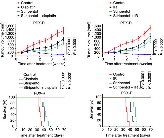 乳酸脫氫酶偏高的原因及其影響，乳酸脫氫酶偏高原因及其影響解析