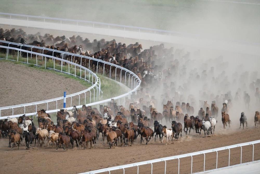 澳門賽馬會(huì)，最快開獎(jiǎng)直播的全面解析，澳門賽馬會(huì)，最快開獎(jiǎng)直播詳解