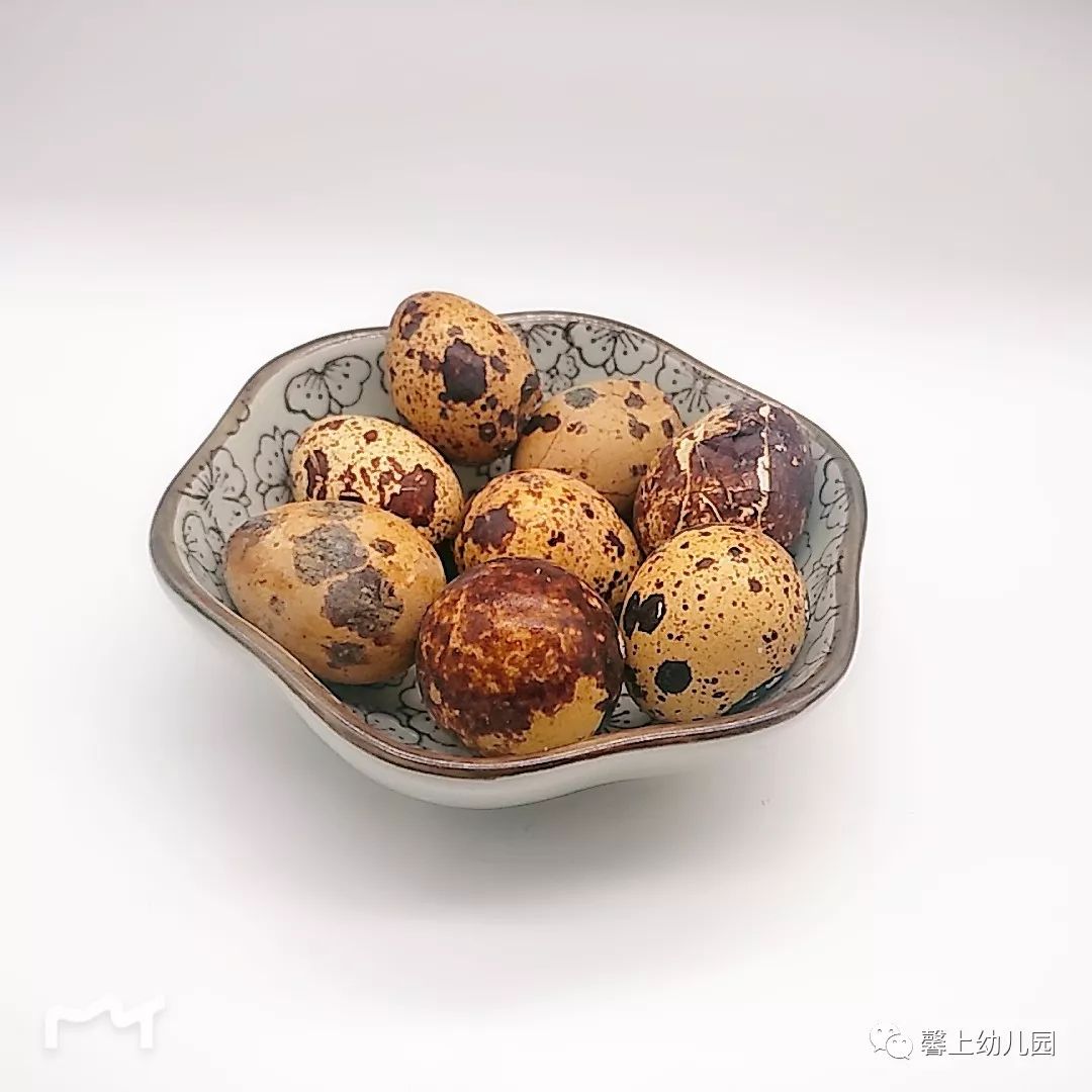 關(guān)于十個月寶寶的健康成長，一日三餐食譜指南，十個月寶寶的健康成長，一日三餐食譜指南