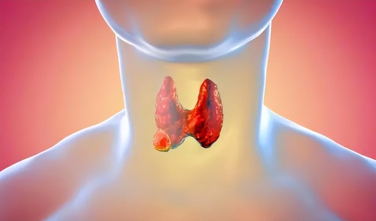 為什么醫(yī)生最怕O型血？探究O型血的特殊之處，探究O型血的特殊之處，醫(yī)生為何對O型血有所顧忌？